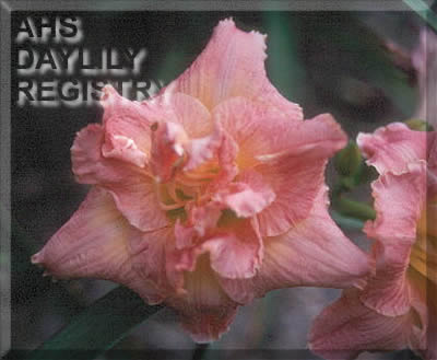 Little Claudia AHS image