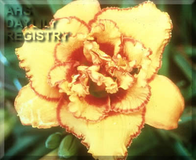 Topguns Legend Maker AHS image
