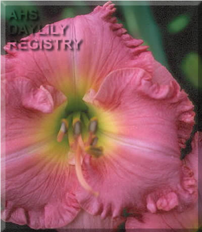 Shantih AHS image
