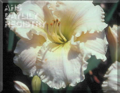 Pinegarden Kim Elaine AHS image