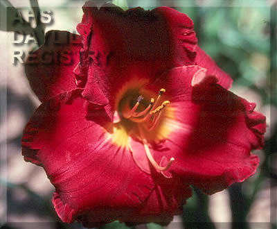 Stark Raving Red AHS image
