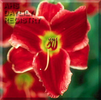 Royalty Supreme AHS image
