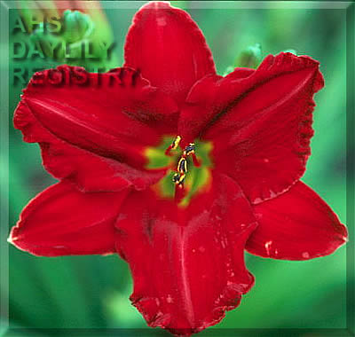 Red and Ready AHS image