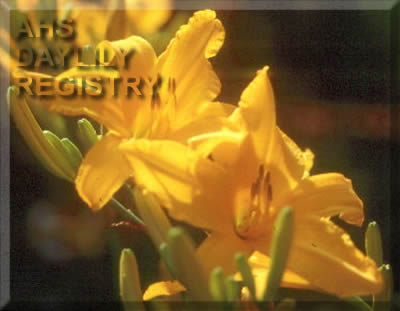 Let the Games Begin AHS image