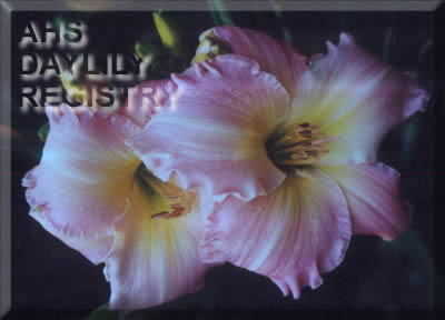Zachery Silva AHS image