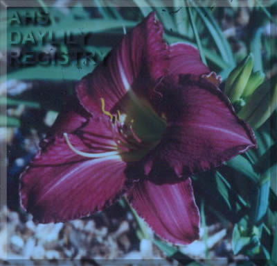 Marlette Grapestomper