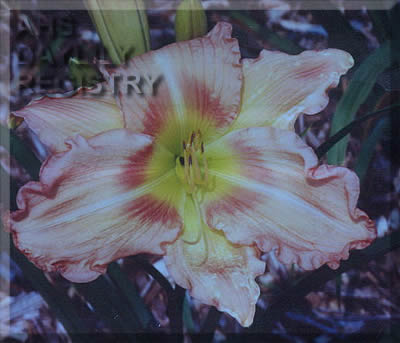 Marlette Well Endowed AHS image