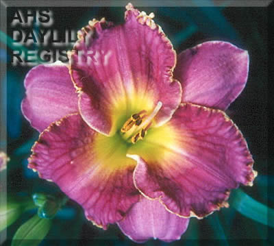 Bahama Mama AHS image