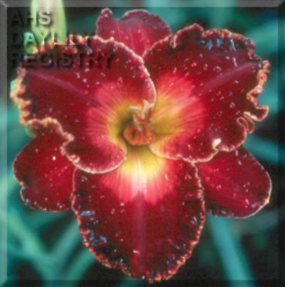 Majestic Fortune AHS image