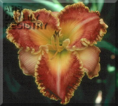 Edge of Acclaim AHS image