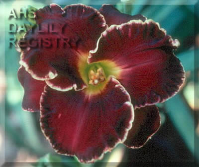 Beloved Rogue AHS image