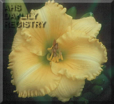 Ithaka AHS image