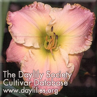 Marietta Daybreak AHS image