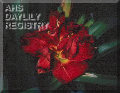 Ashley Bartram AHS image