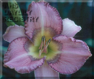 Blue Jay Way AHS image