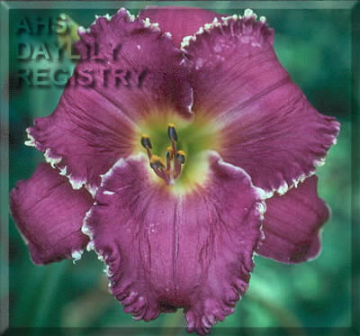 Face of the Stars AHS image