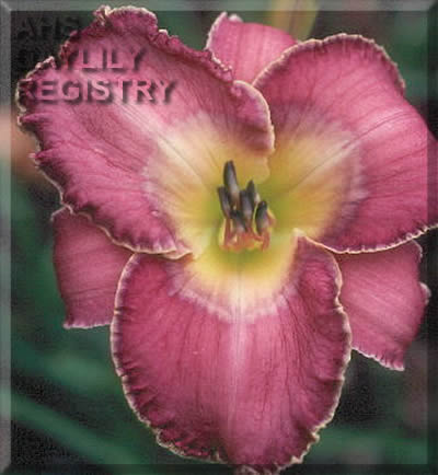 Triple Ripple AHS image