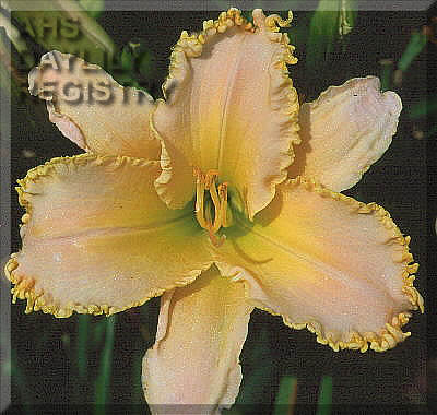 Jolly Friar AHS image