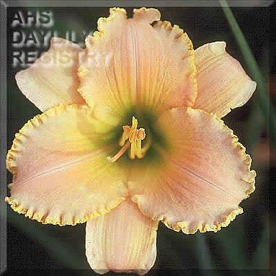 Skyland AHS image
