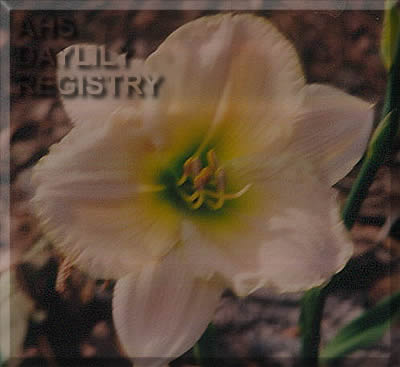 Misty's Passion AHS image