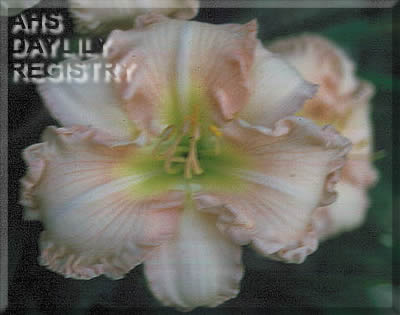 Possum Hollow Lou Alice AHS image