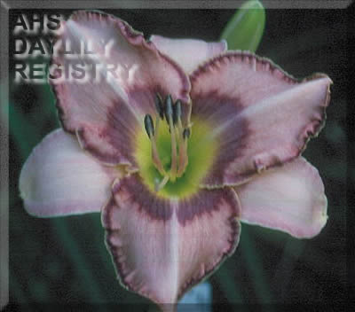 Possum Thad the Great AHS image
