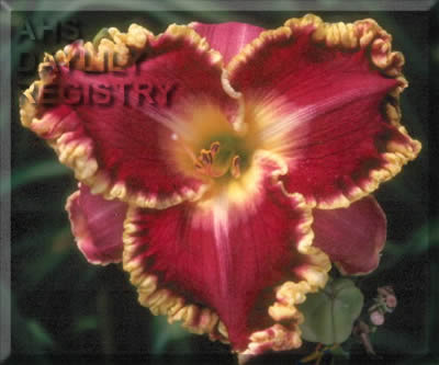 Grateful Heart AHS image
