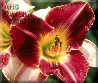 Wandering Minstrel AHS image
