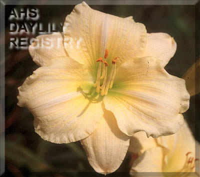 Curtis High Memorial AHS image