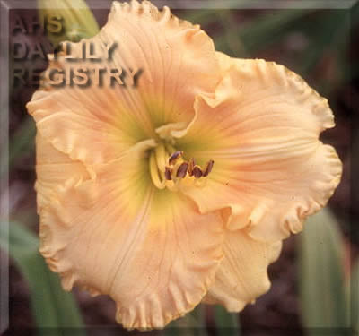 Power of Praise AHS image