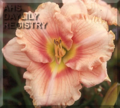 Forsyth Pawnee AHS image