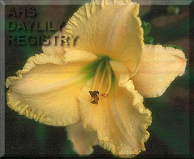 Sagamore Beverly Myers AHS image