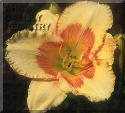Sagamore Art Kemper AHS image