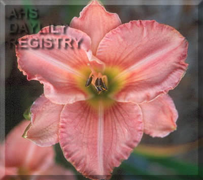 Sagamore Amy W. Hamilton AHS image