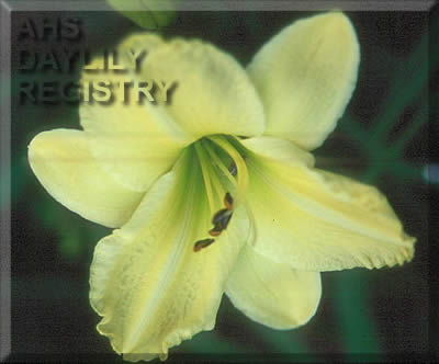 Sagamore Margaret F. Lynch AHS image