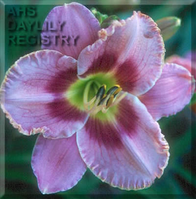 Sagamore Whitney Kate AHS image