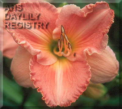 Sagamore Holley Bell Alexander AHS image