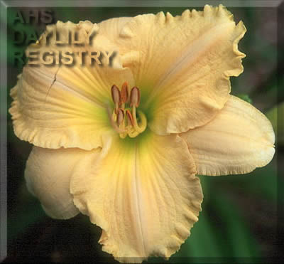 Sagamore Mildred Perkins AHS image