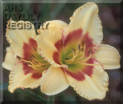 Sagamore Anne Vaughan Mallett AHS image