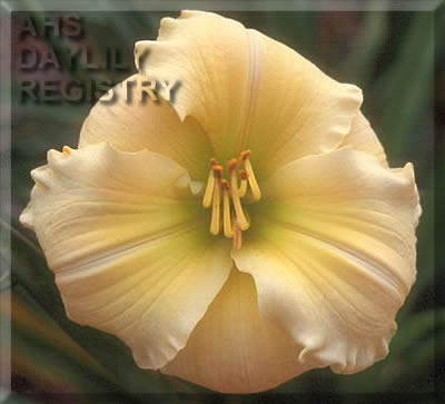 Sagamore Serendipity AHS image