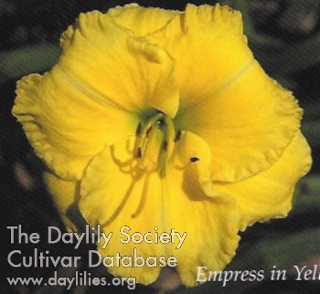 Empress in Yellow