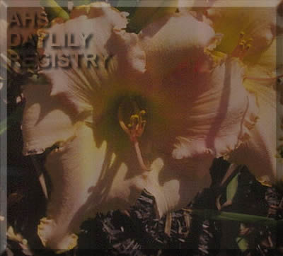 Jane Owen AHS image