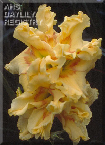 Double Cascade AHS image