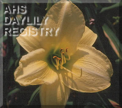 Earlybird Sunshine AHS image