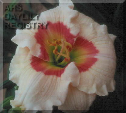 Border Class AHS image
