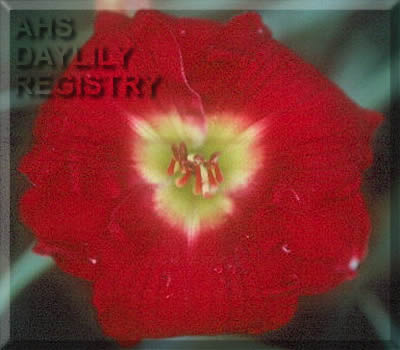 Simply Red AHS image