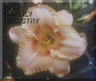 Watson Park Shazam AHS image