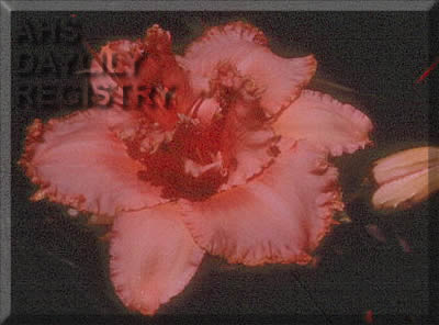 Catalonia AHS image