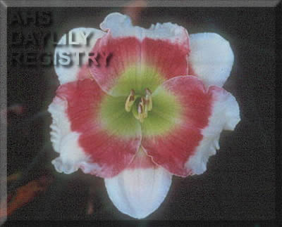 Clouds of Kisses AHS image