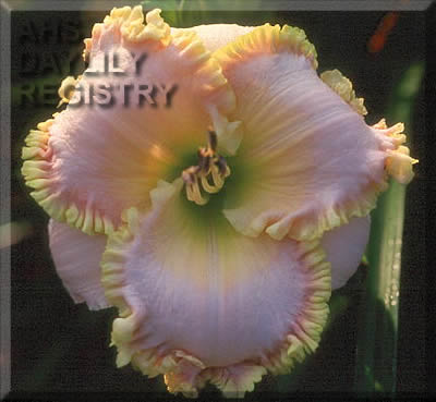 Paulette Miller AHS image